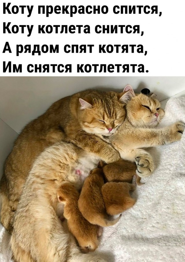Так себе картинки 12.02.23