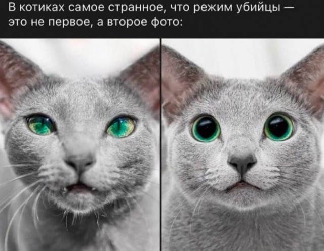 Дело было вечером, хотелось, а послать было не кого