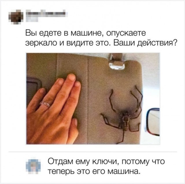 Скриншоты и комментарии из социальных сетей 12.05.23