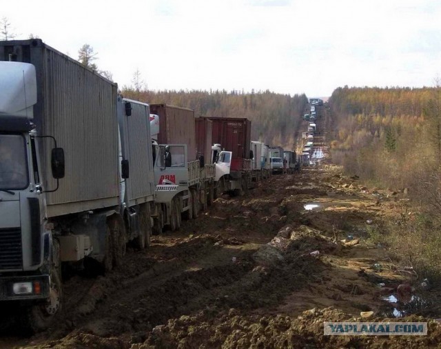 Россиян могут лишить свободы на 5 лет за въезд в ЕС на своих авто