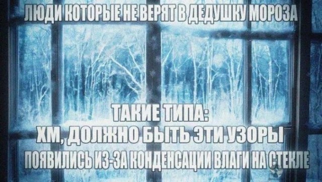 Приколы с налетом деградации