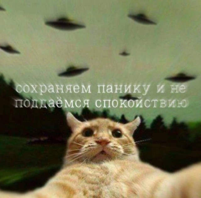 Всего понемногу. От 20.03.24
