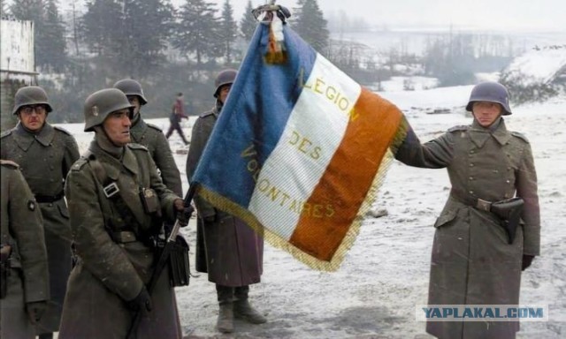 Вроде больше 30 лет прошло