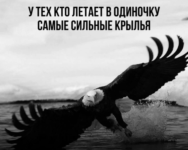 Так себе картинки 05.06.24