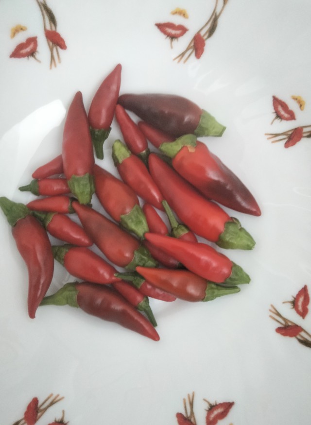 Сентябрь, и снова о перцах