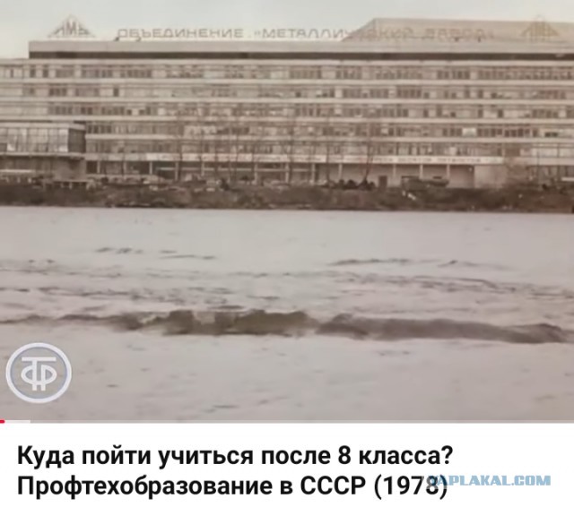 Куда пойти учиться после 8 класса в 1978 году