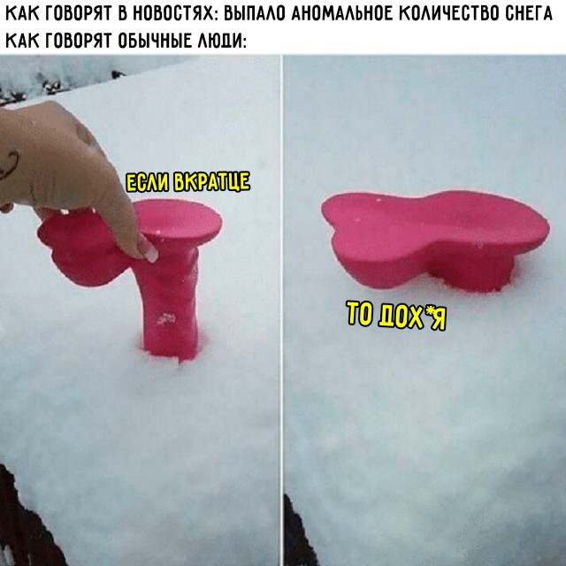 Весёлый полтишок 03.01.25