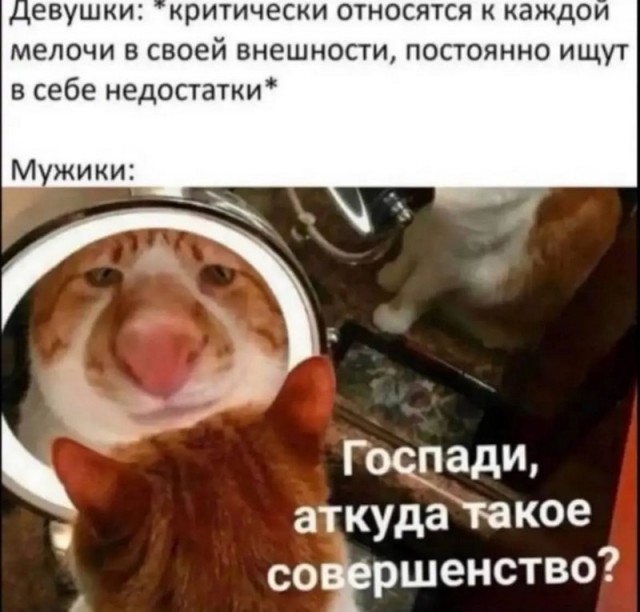 Завалялось тут случайно немного забавных картинок