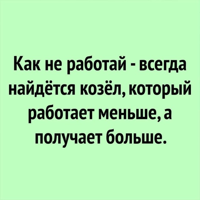 Так себе картинки 25.02.25