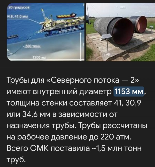 Весёлый полтишок 13.03.25