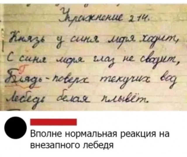 Отсутствие морально этических норм Vol.5