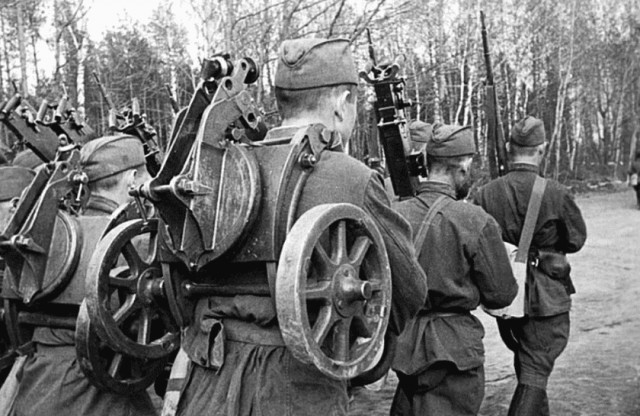 Антропометрия Великой Отечественной