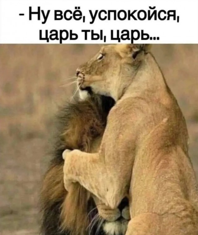Завалялось тут случайно немного забавных картинок