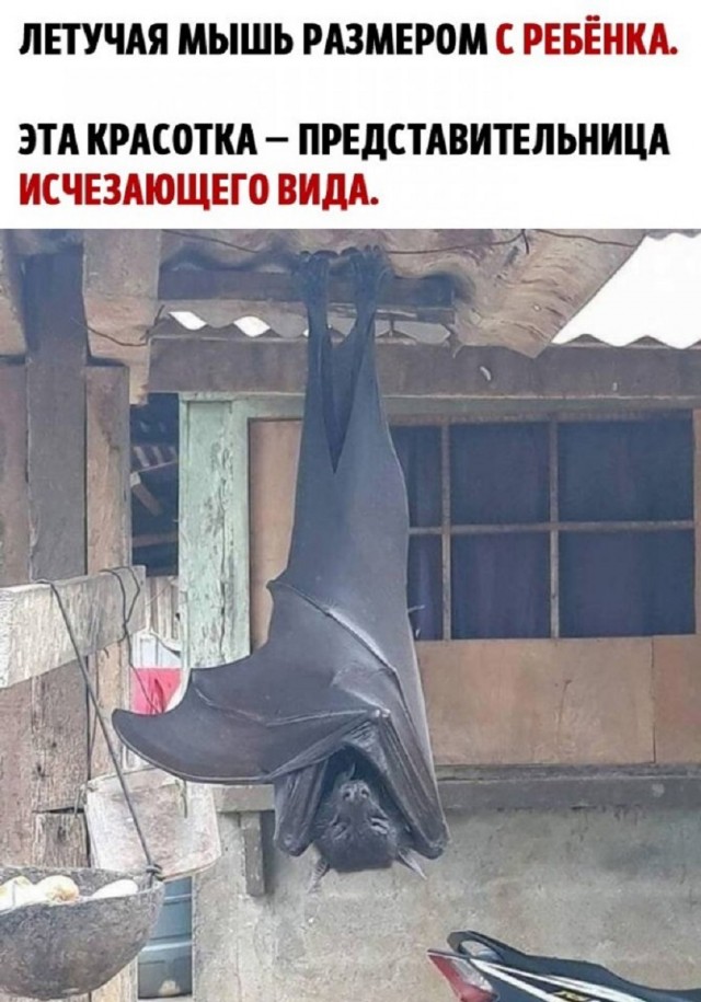 Так себе картинки 14.07.25