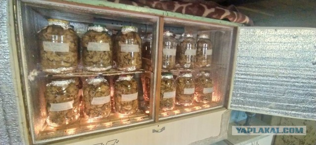 В Госдуме предлагают повысить налоги на сигареты и алкоголь