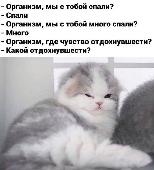 Картинки для деградации 33 (разной степени свежести)