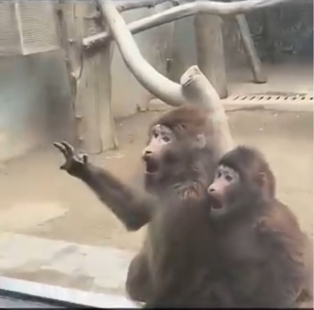 "На меня не так посмотрели — я достал нож"