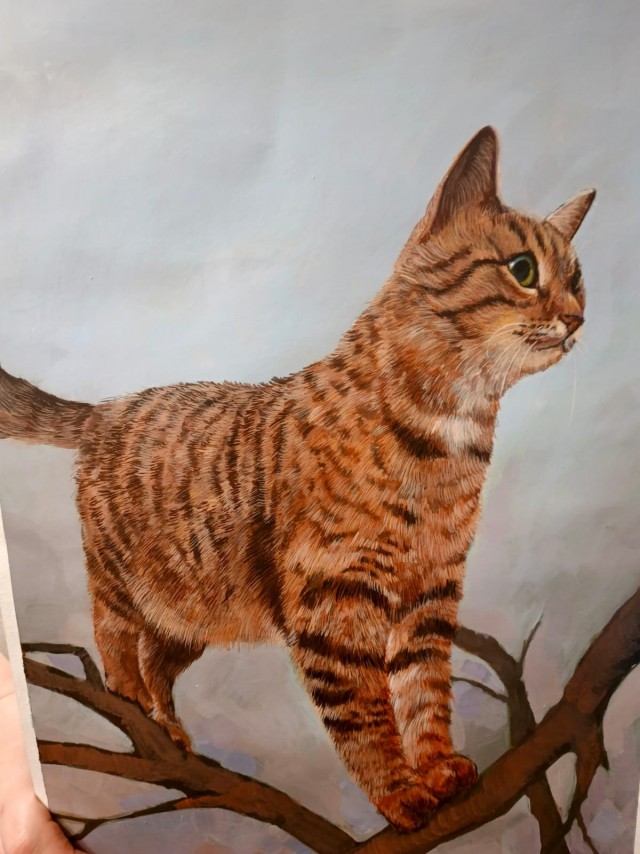 Пришёл подарок для любимой жены на др.