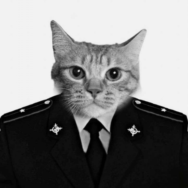 "Ты что, какой-то особенный?"