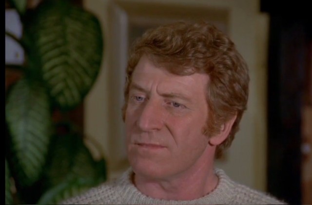 Редкие кадры и архивные снимки 29.04.26