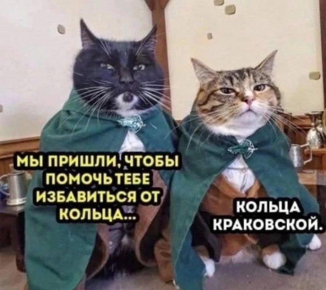 Картинки для деградации 205 (разной степени свежести)