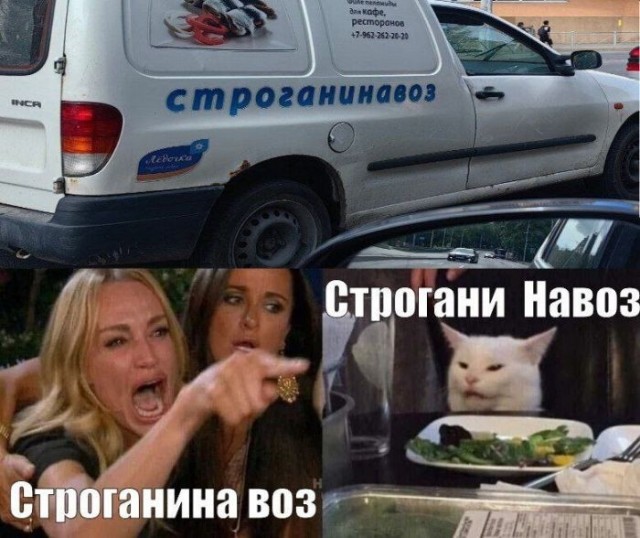 Веселые картинки в понедельник (08.06)