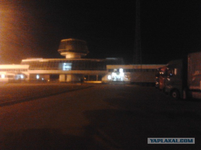 Где яблоки растут!