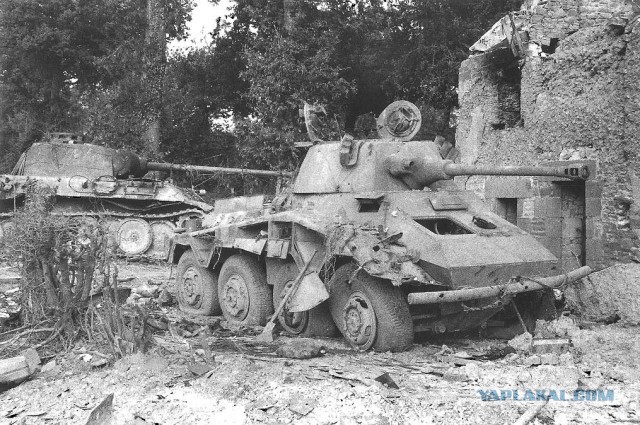 Wargaming 12, WoT сотоварищи