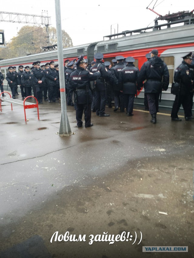 Смешные картинки
