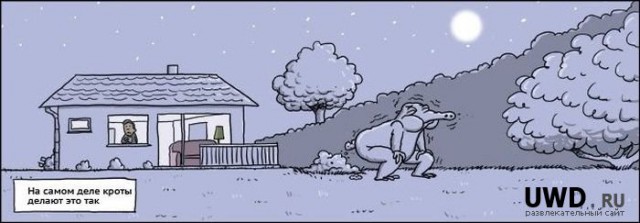 Черный юмор как он есть.