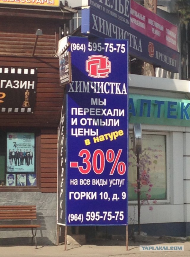 Маразмы месяца