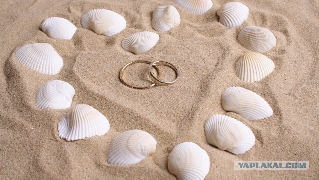 Женился) Свадьба моей мечты)