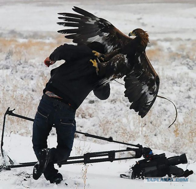 На что готовы пойти фотографы