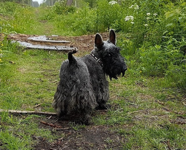 Я жду тебя за Радугой