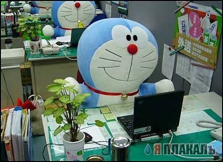 КПМщики на работи