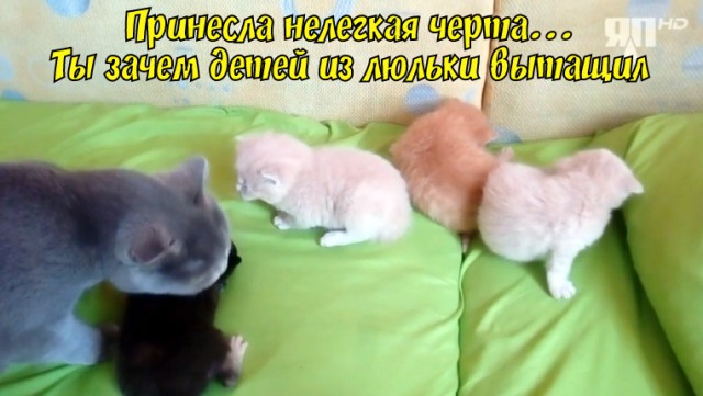 Приехал из командировки,а тут...