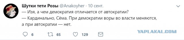 Люся Штейн избрана депутатом в Басманном районе Москвы