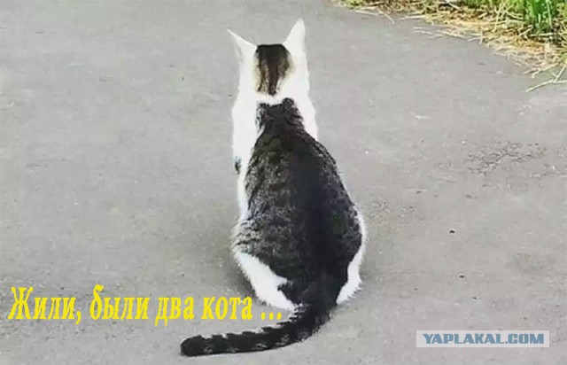 Улыбнитесь, друзья