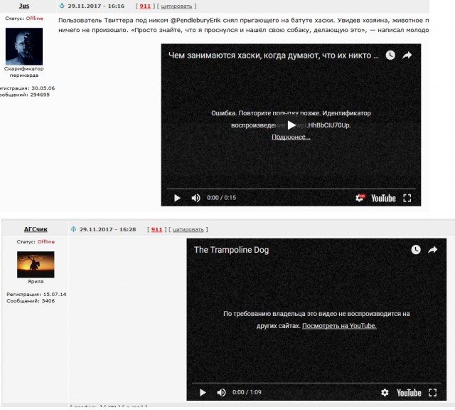 Чем занимаются хаски, когда думают, что их никто не видит