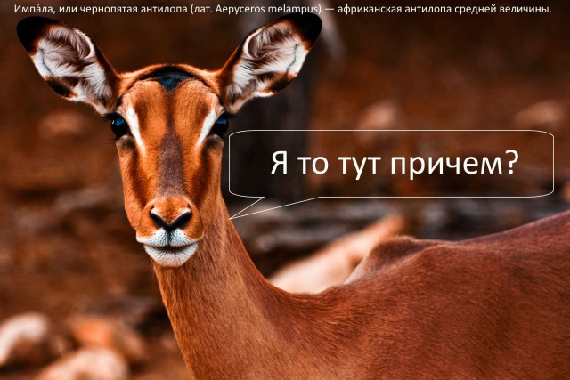 Кошмар зубного врача