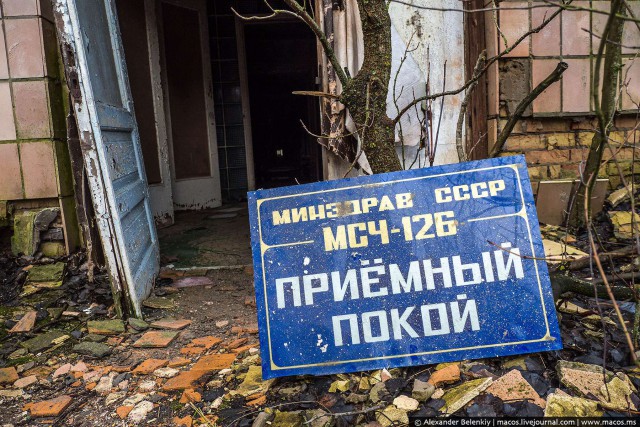 Мёртвый город Припять. Джунгли Чернобыля