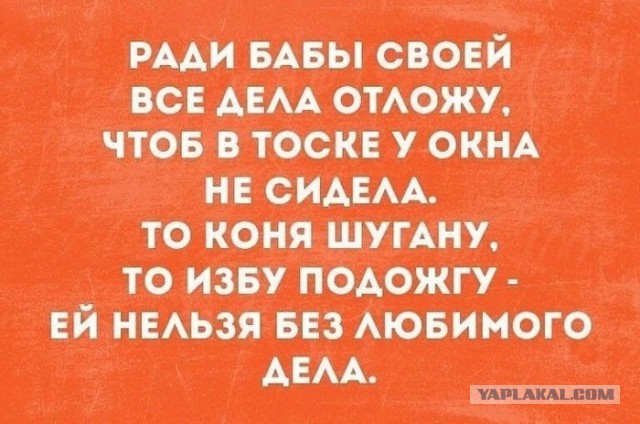 "Коня на скаку". Официантка четырьмя ударами кулаком насмерть забила клиента подмосковного кафе