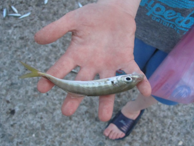 Просто Природа