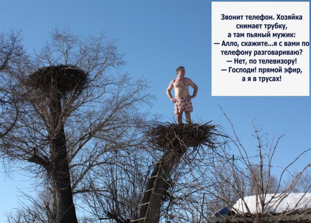 Картинки по-приколу