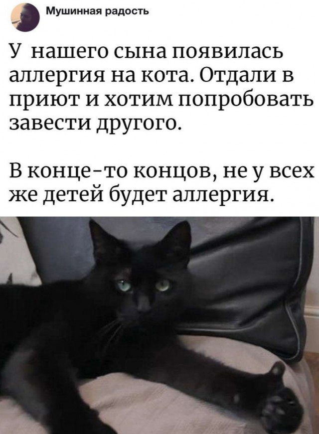 Немного милоты