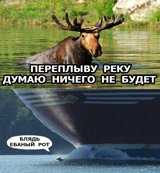 Нестандартный юмор