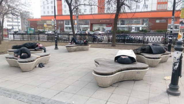 Скотсети и прочие интернеты 04.03.19