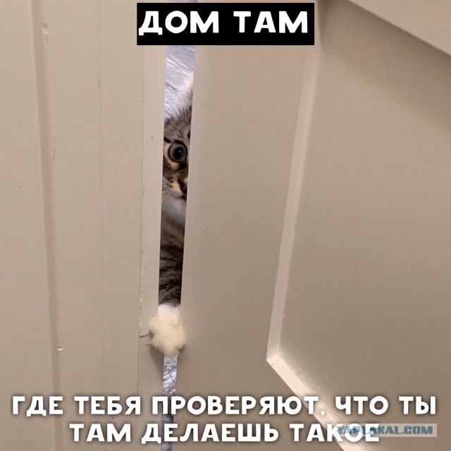 Дом там, где...