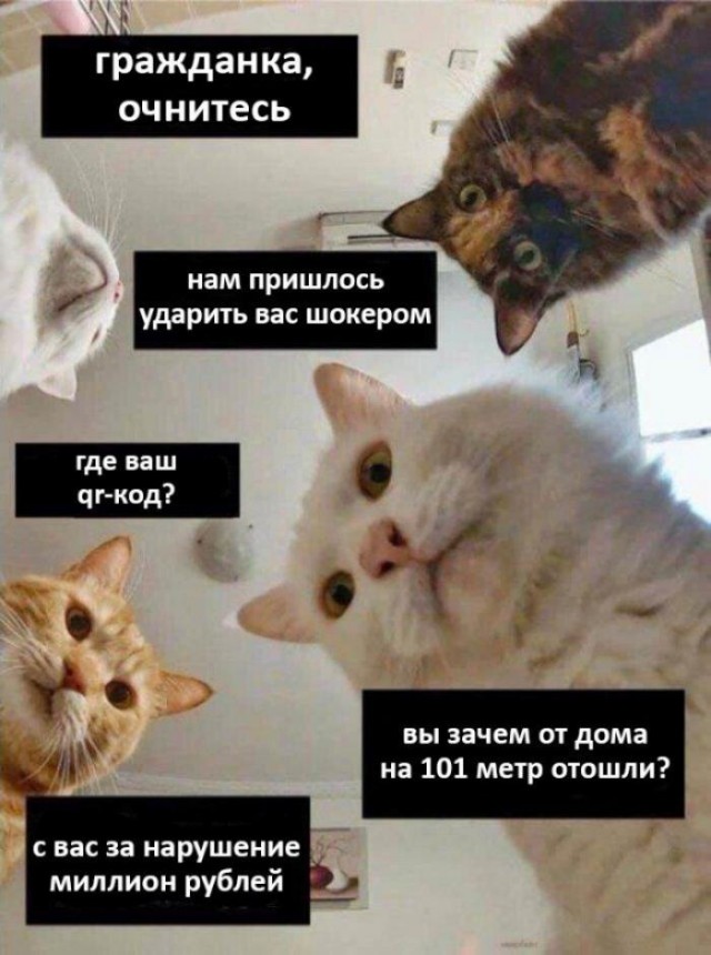 Пандемия. Коронавирус. Россия и мир. Последняя информация. Часть 11