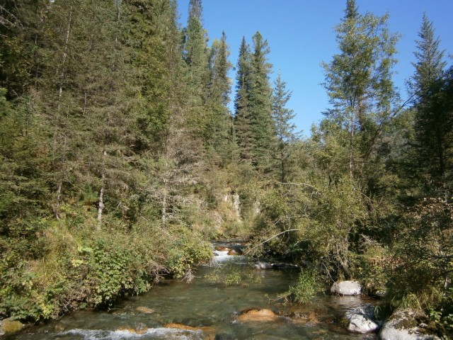 На конягах по Алтаю